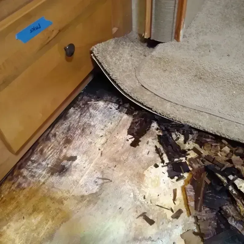 Best Wood Floor Water Damage Service in Lake Nacimiento, CA